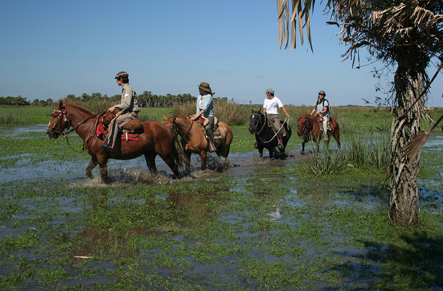 image Esteros del Iberá img 91993 57974